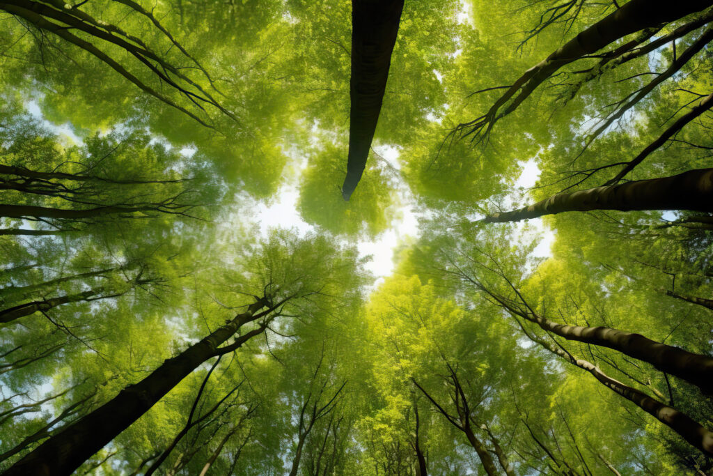 Green Care alkeet
